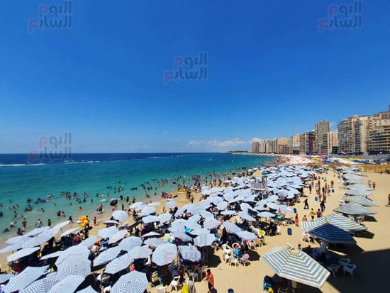 نسب-اشغال-مرتفعه نسب-اشغال-مرتفعه