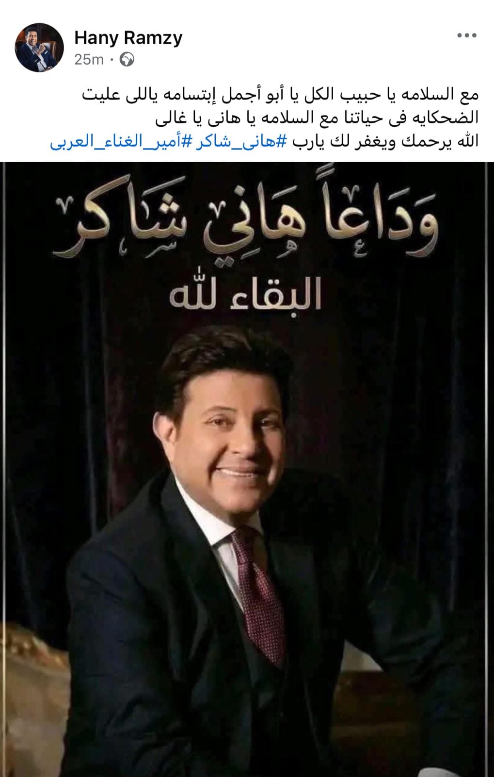 هاني رمزي