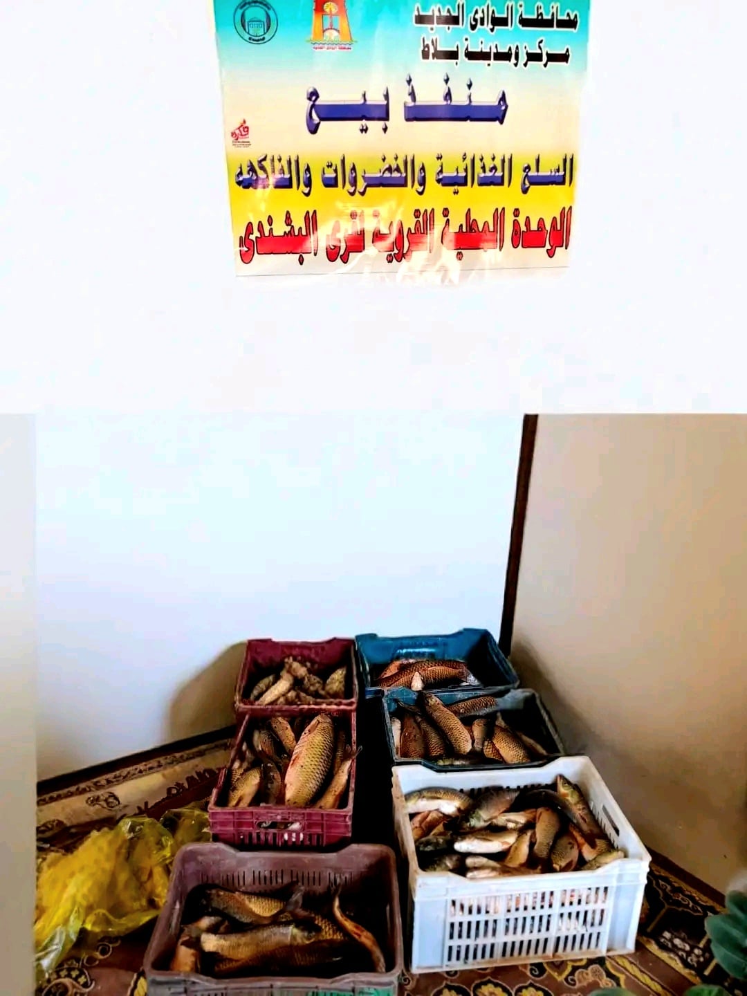 مجلس منفذ المدينةب