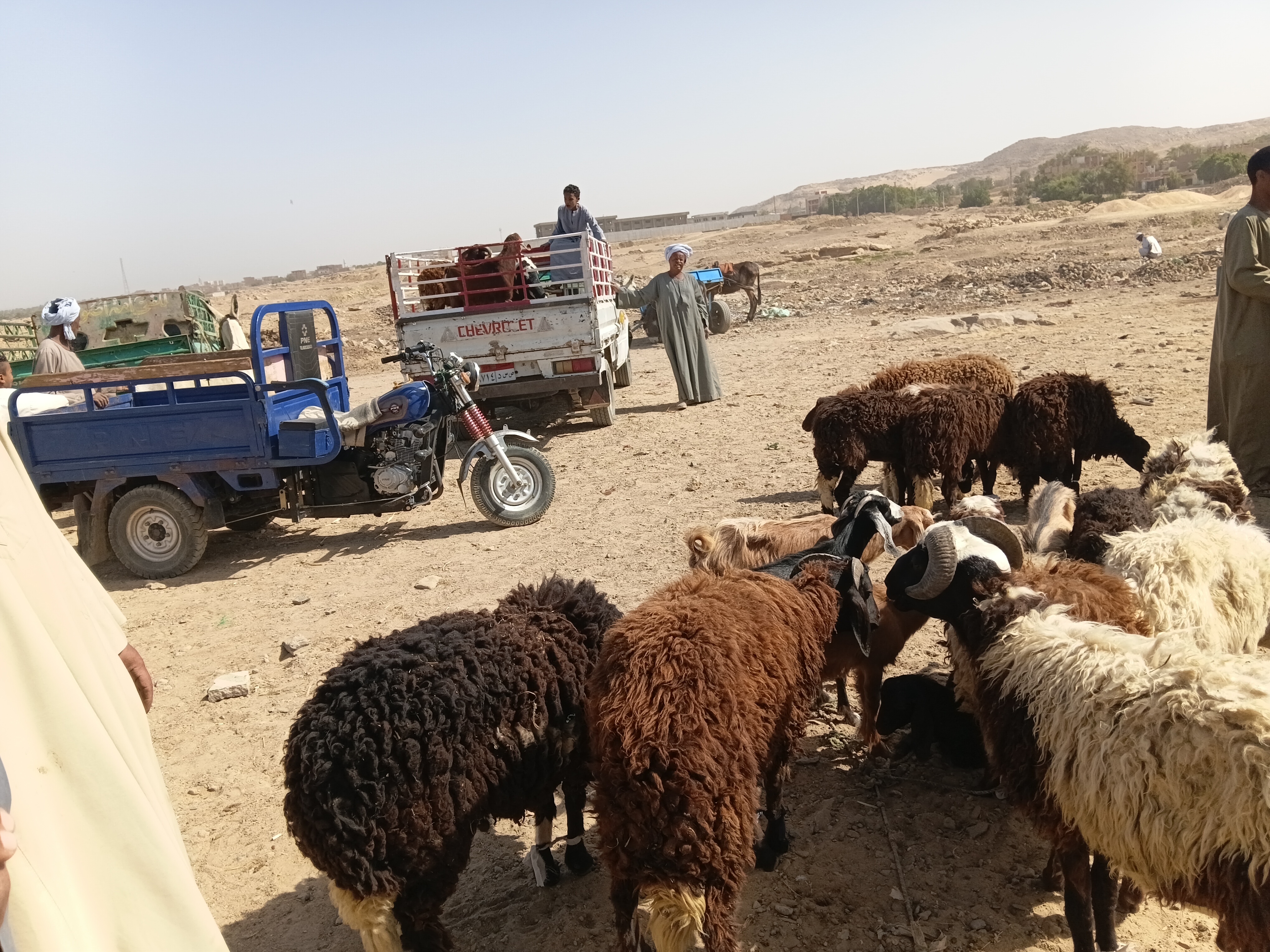 اكتظت الاسوق بالمواطنين والتجار