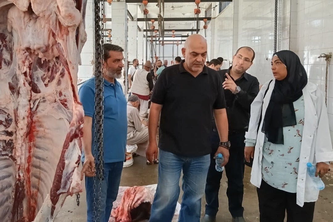 تفقد عمل المجازر