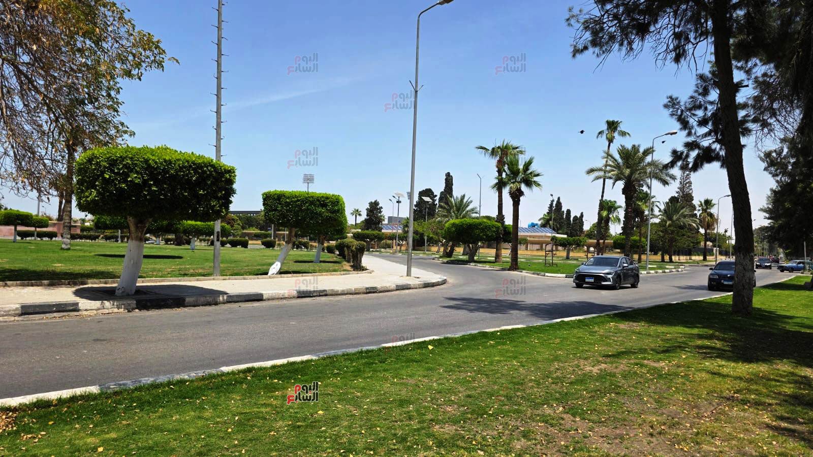 نمرة-٦-بالإسماعيلية-