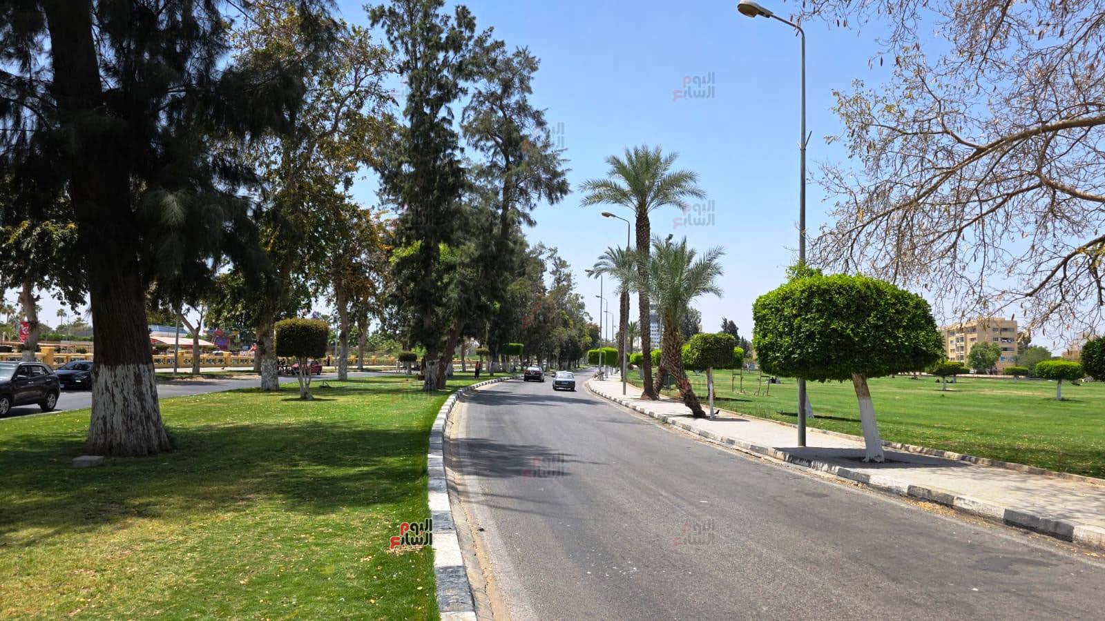 طريق-نمرة-٦-بين-الحدائق