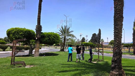 الشباب،فى-نمرة-٦