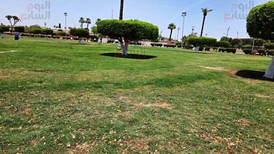 أشجار-نمرة-٦_1
