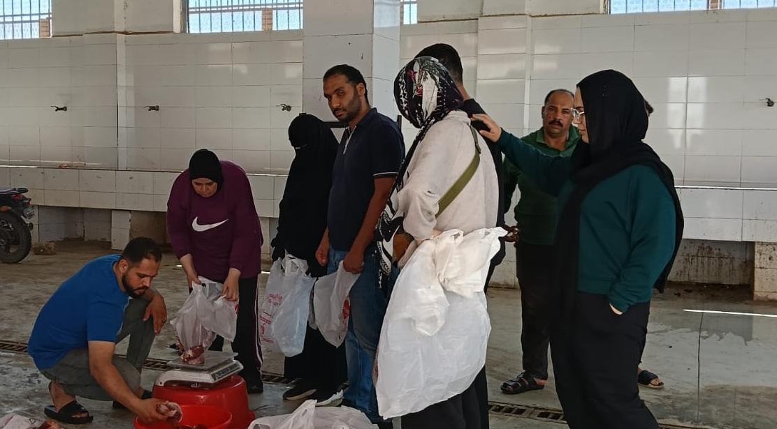 مجازر القليوبية