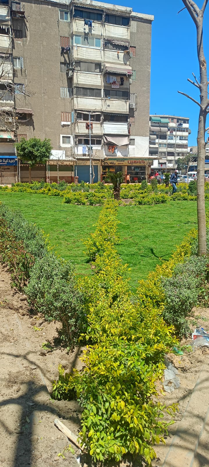 التطوير بالحديقة