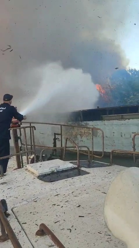 السيطرة على حريق هيش داخل جزيرة الدهب بنهر النيل (4)