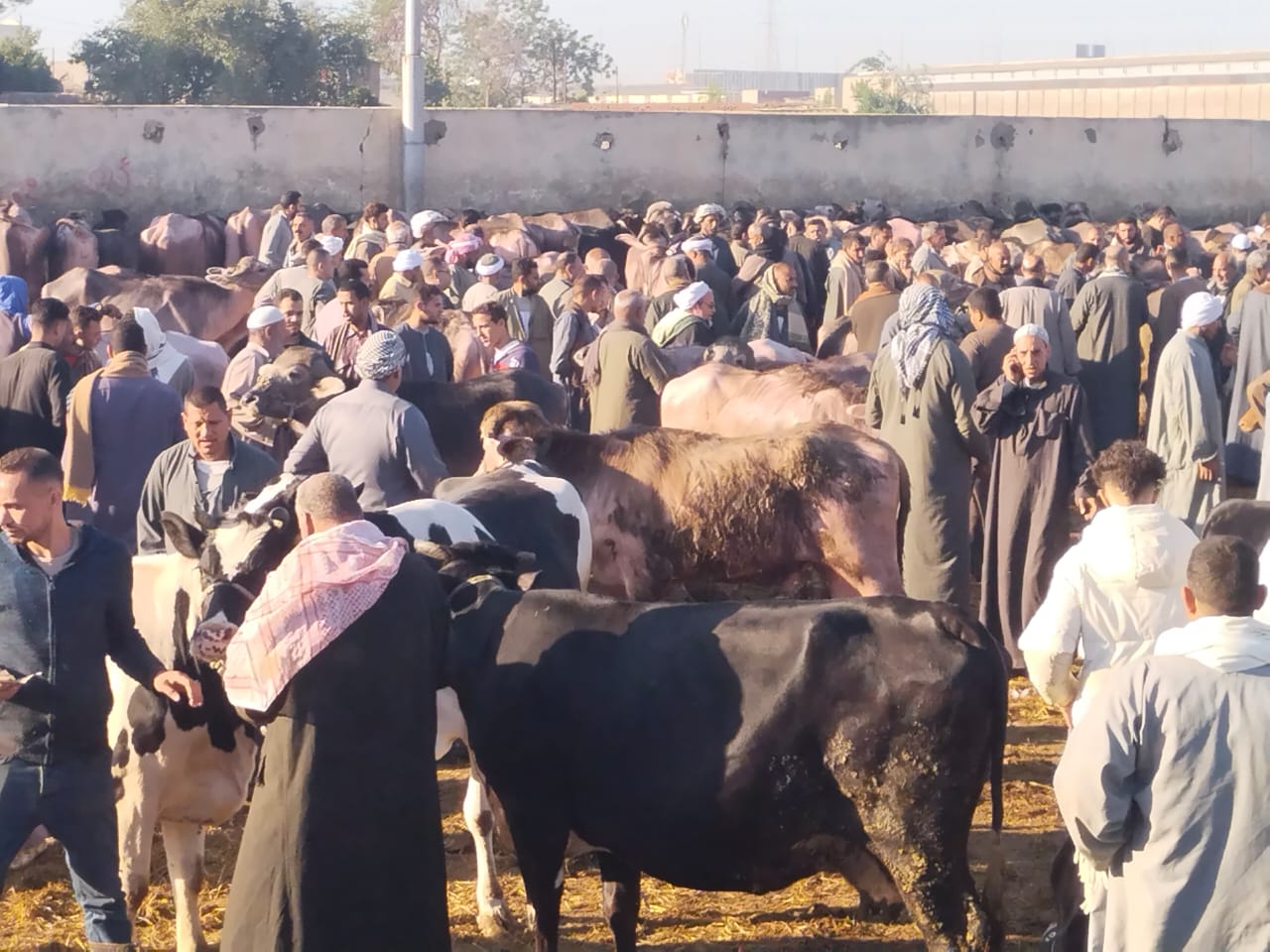 الزحام بالسوق