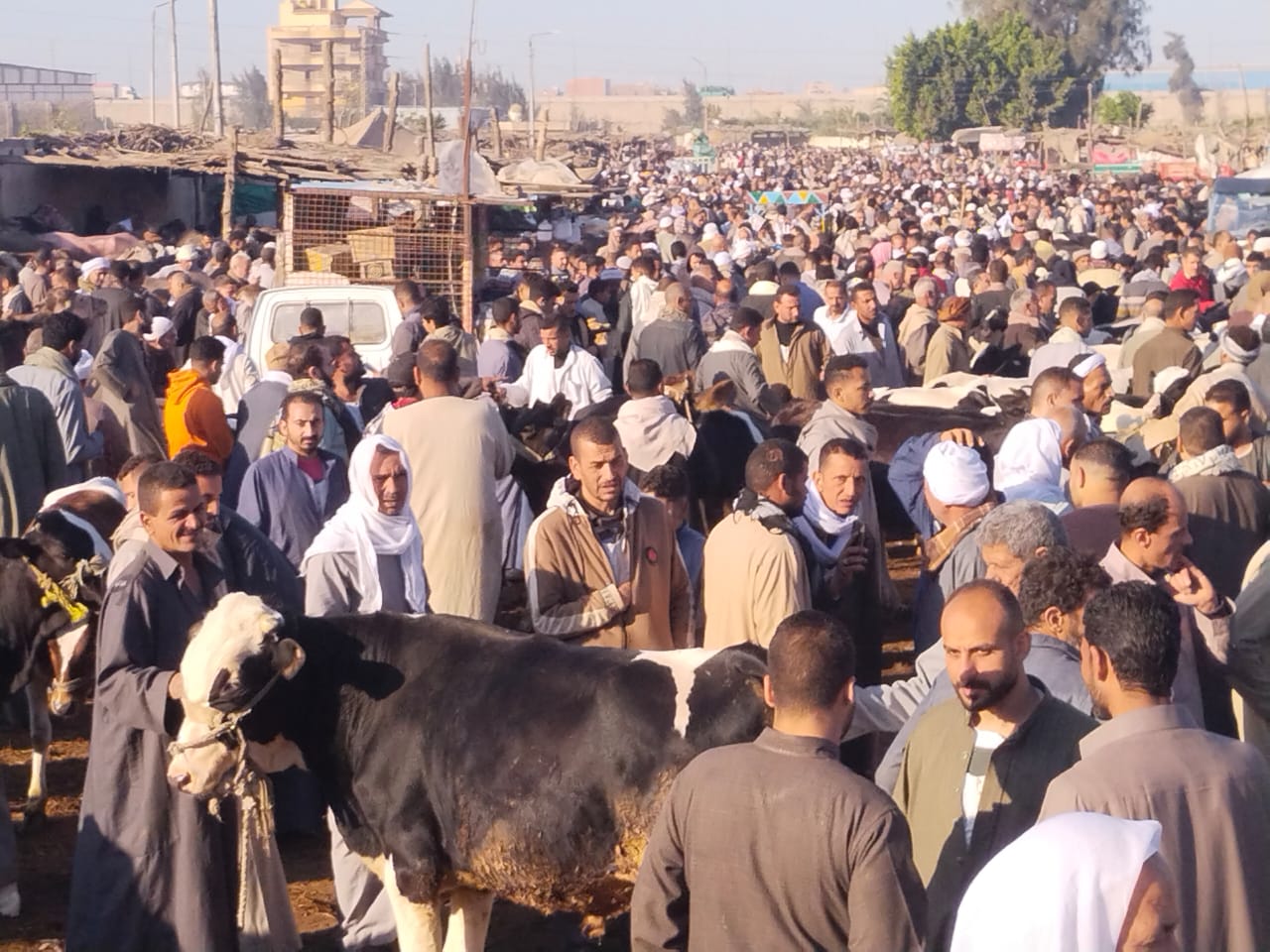 زحام كبير بالسوق