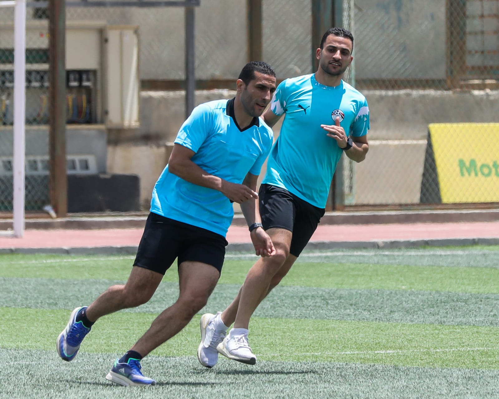 محمود ناجى