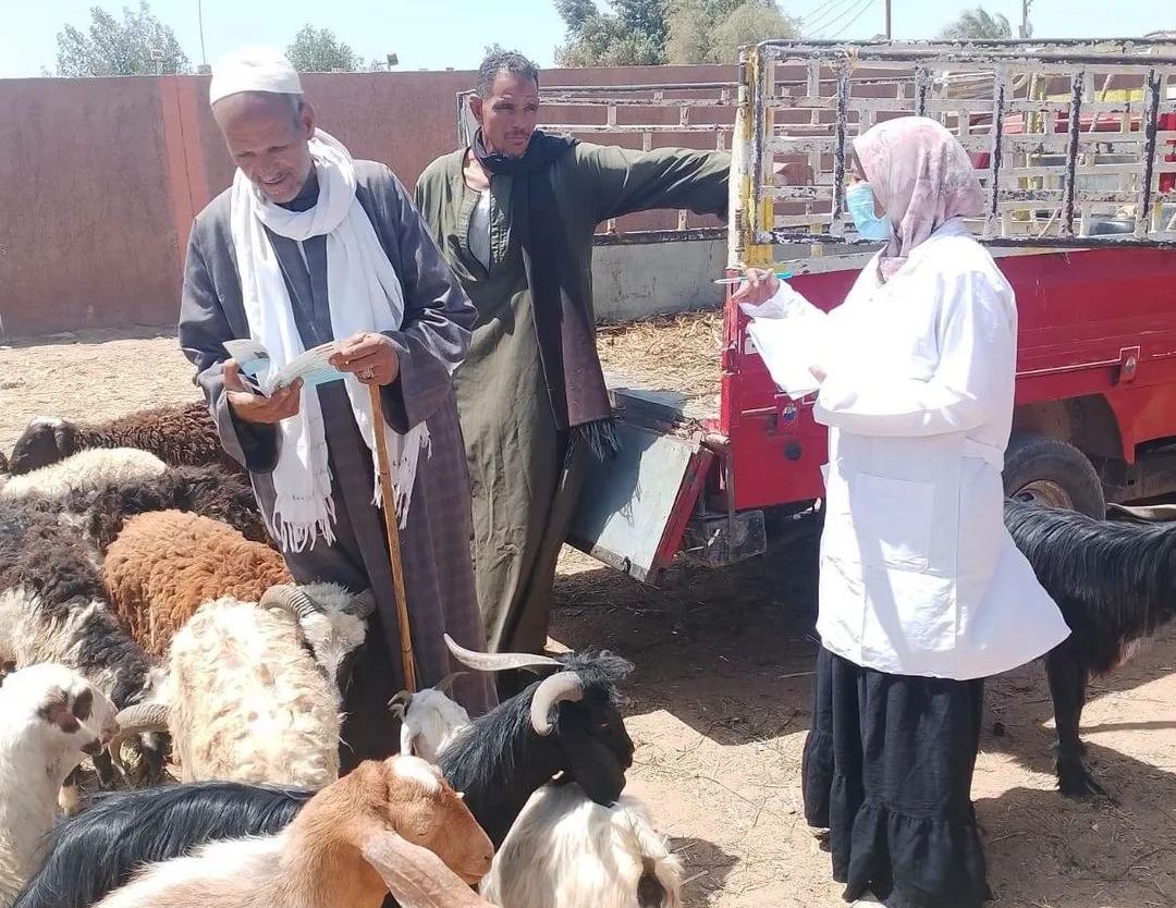توعية توعية