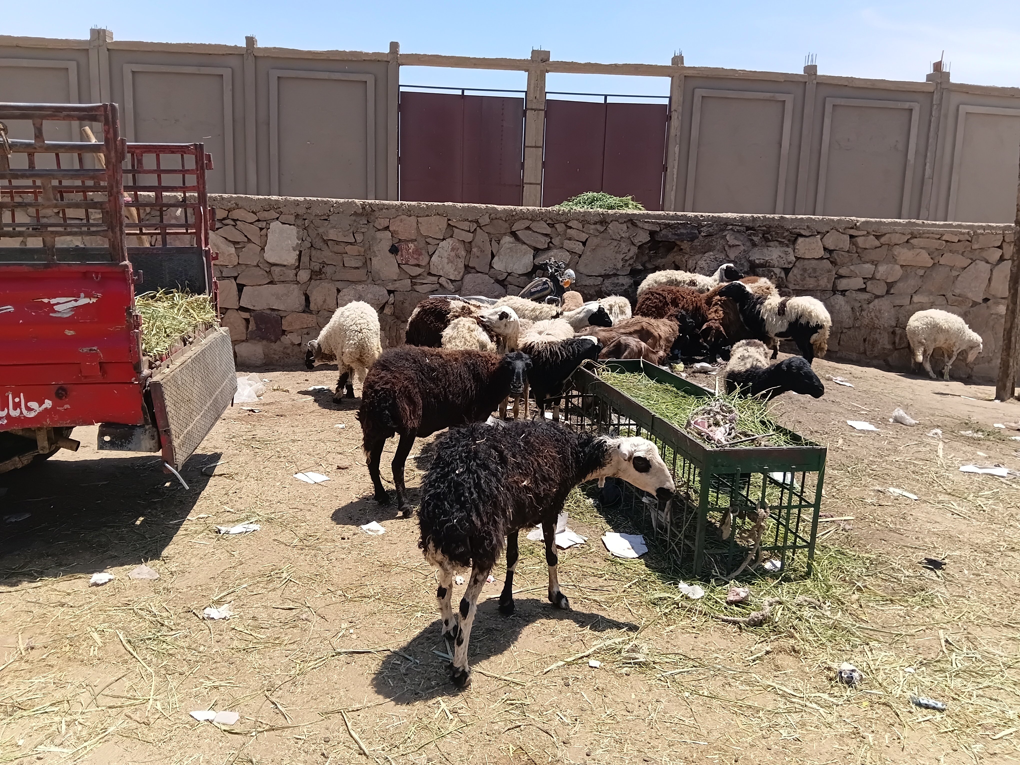 سوق الحاجر_1