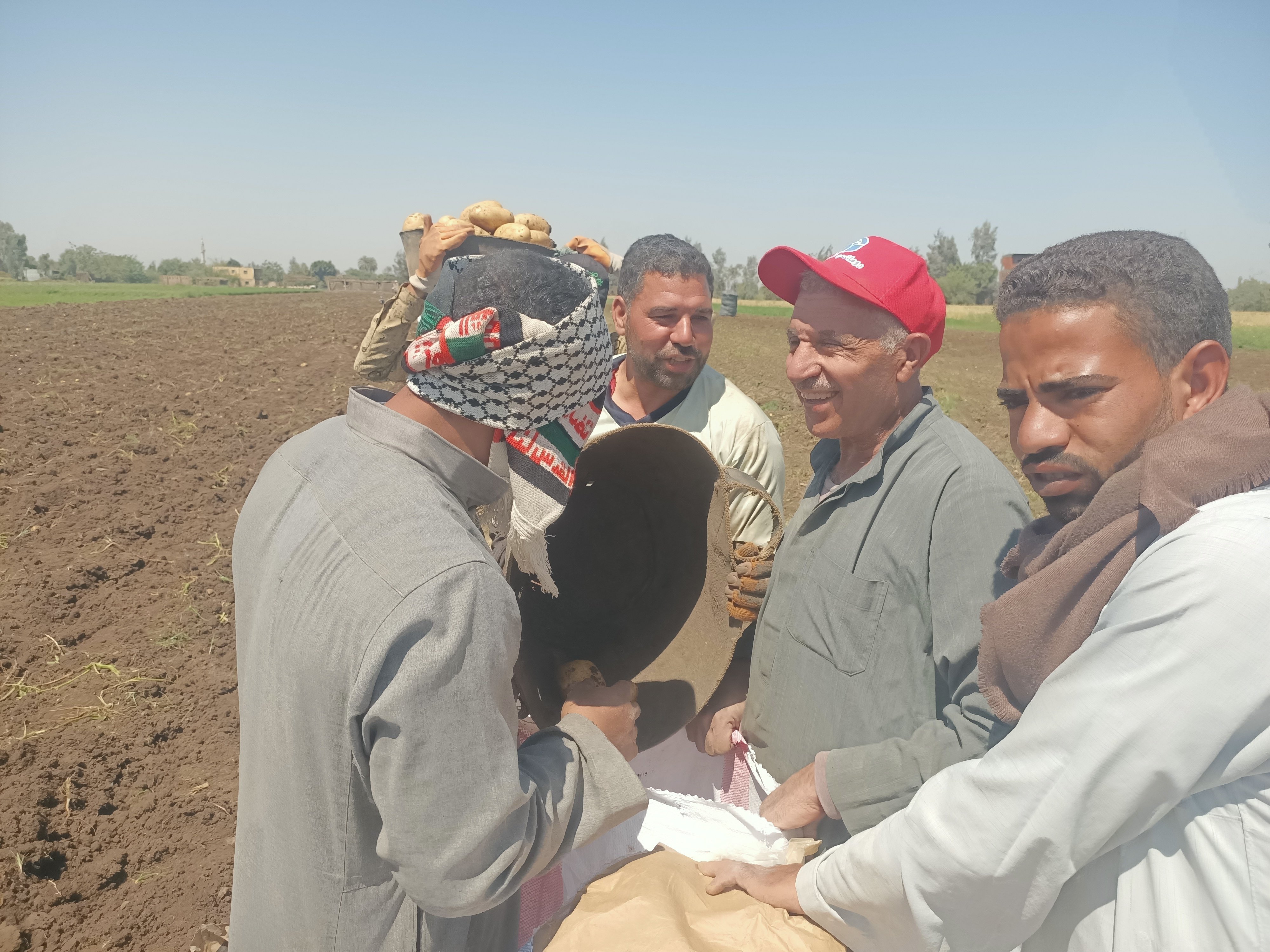 الفلاحين أثناء الحصاد 