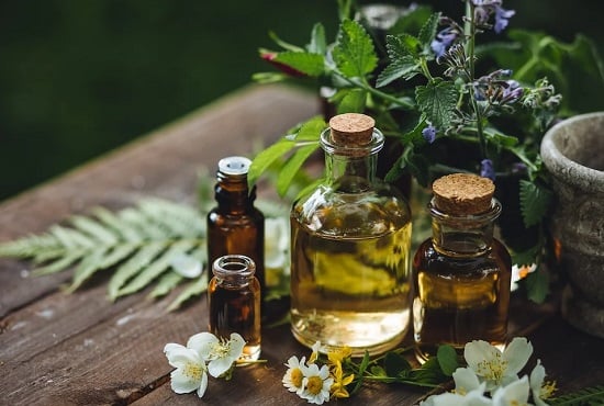 طرق التخلص من الناموس والذباب