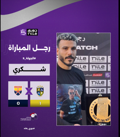 شكرى نجيب