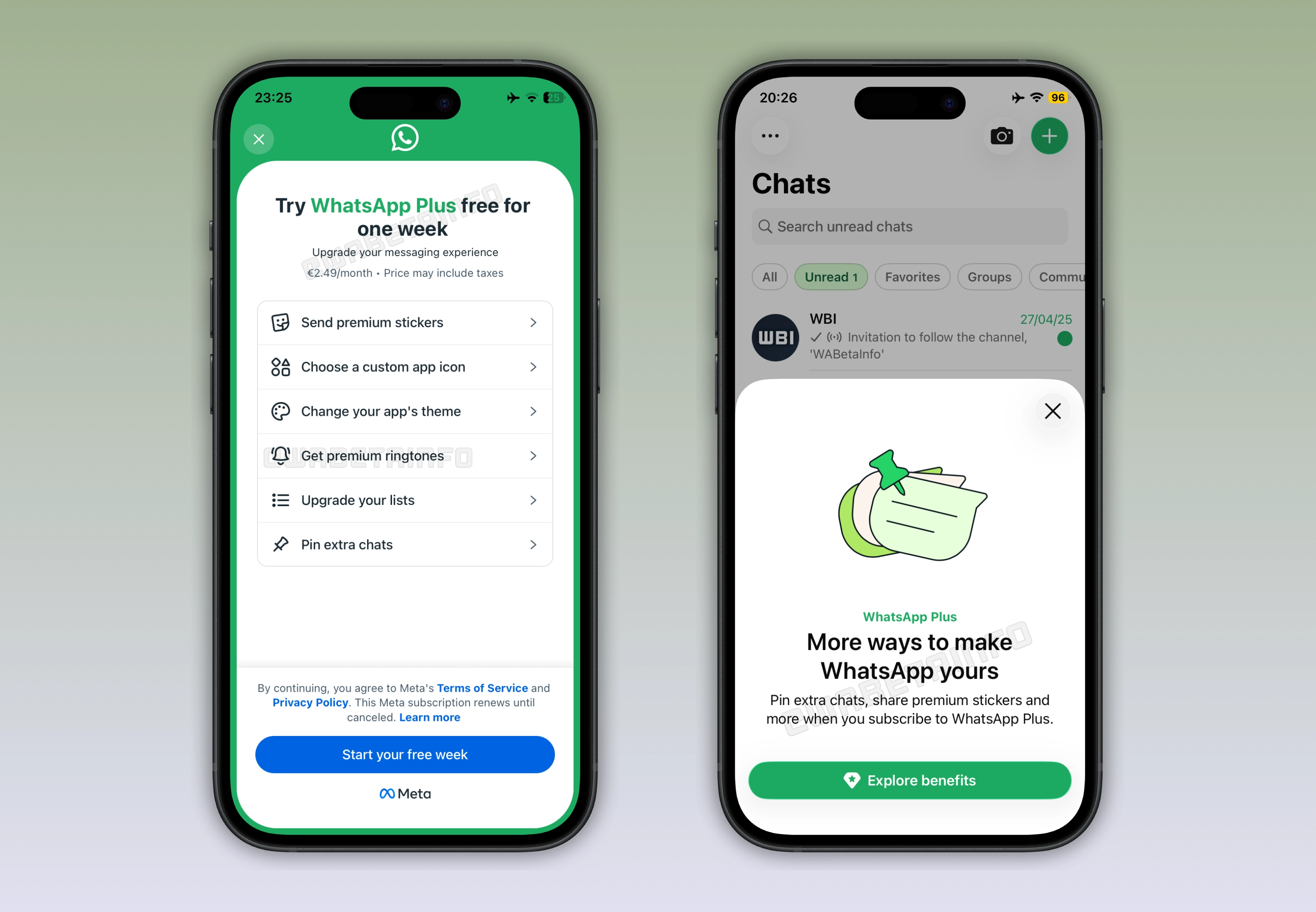 WA_DASHBOARD_SUBSCRIPTION_PLAN_WHATSAPP_PLUS_FEATURE_IOS