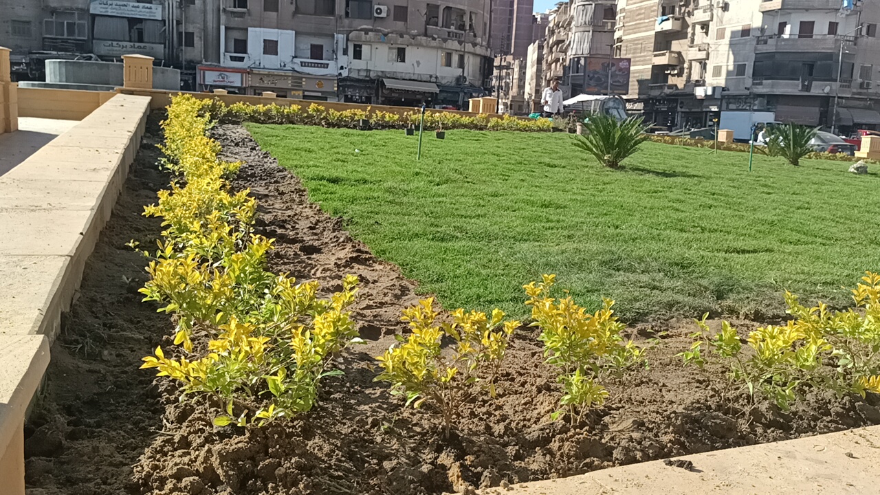 زيادة المساحات الخضراء بالميدان زيادة المساحات الخضراء بالميدان