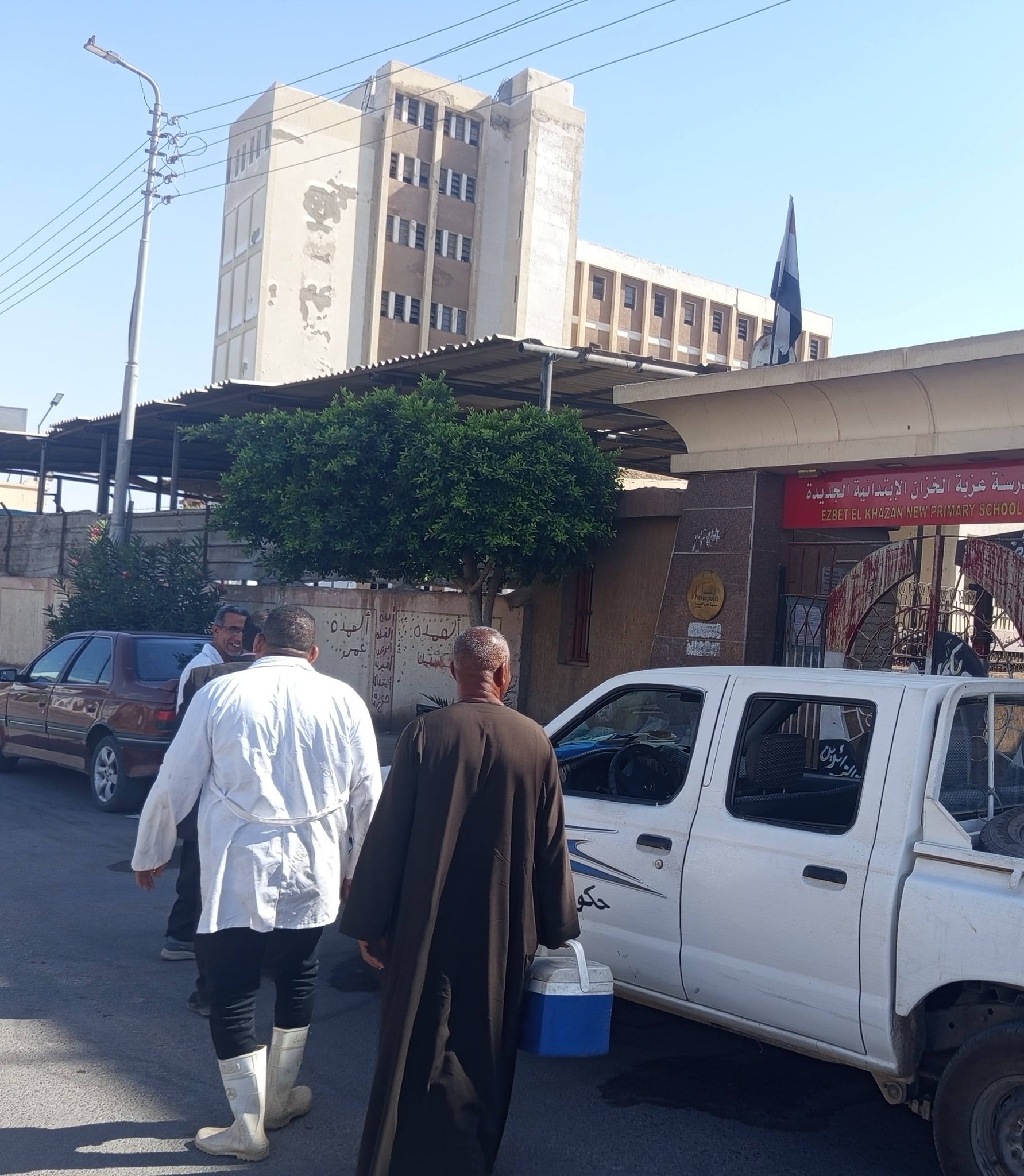 فعاليات حملة لتحصين الكلاب الضالة فى مدينة إسنا فعاليات حملة لتحصين الكلاب الضالة فى مدينة إسنا