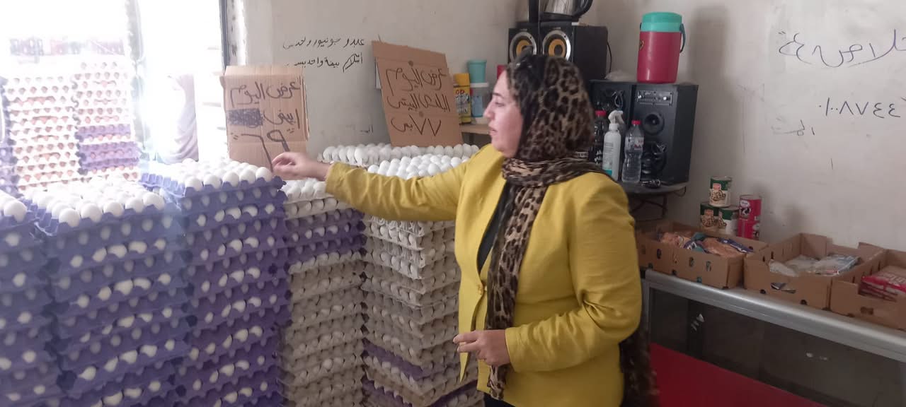 جانب من الحملات بالقليوبية جانب من الحملات بالقليوبية
