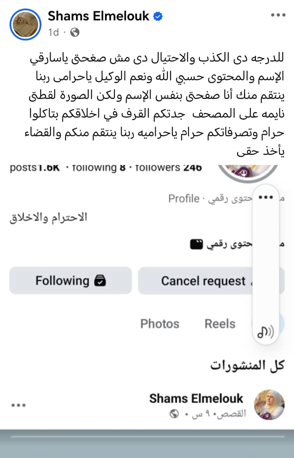 شمس البارودي