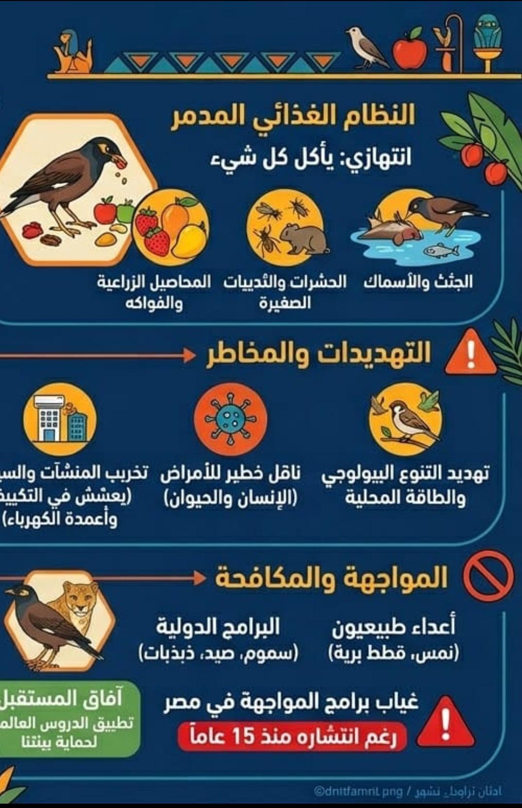 انفوجراف