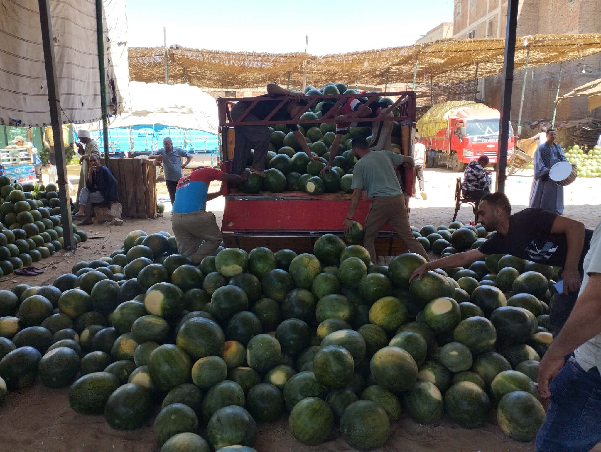 ضخ كميات كبيرة من البطيخ في الإسكندرية ضخ كميات كبيرة من البطيخ في الإسكندرية