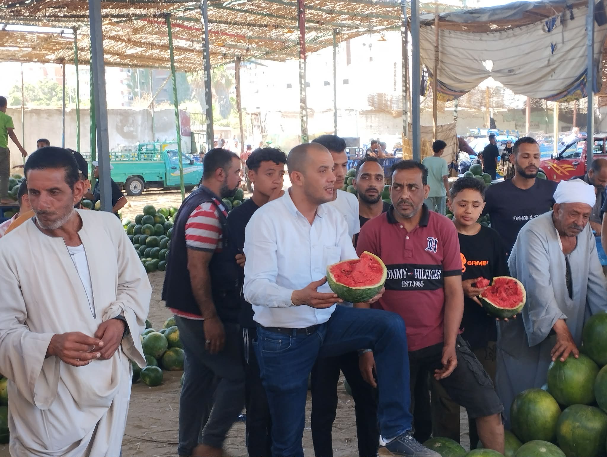 جودة البطيخ في وكالة الحضرة بالاسكندرية جودة البطيخ في وكالة الحضرة بالاسكندرية
