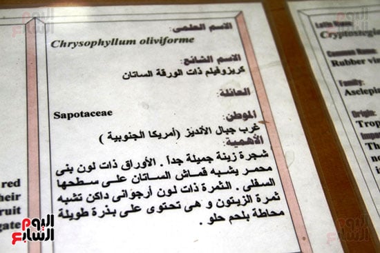 شرح تفصيلى
