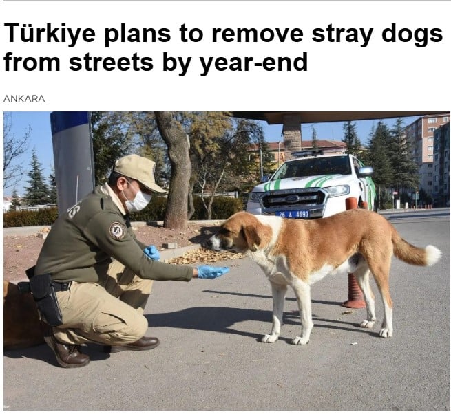 تركيا تركيا