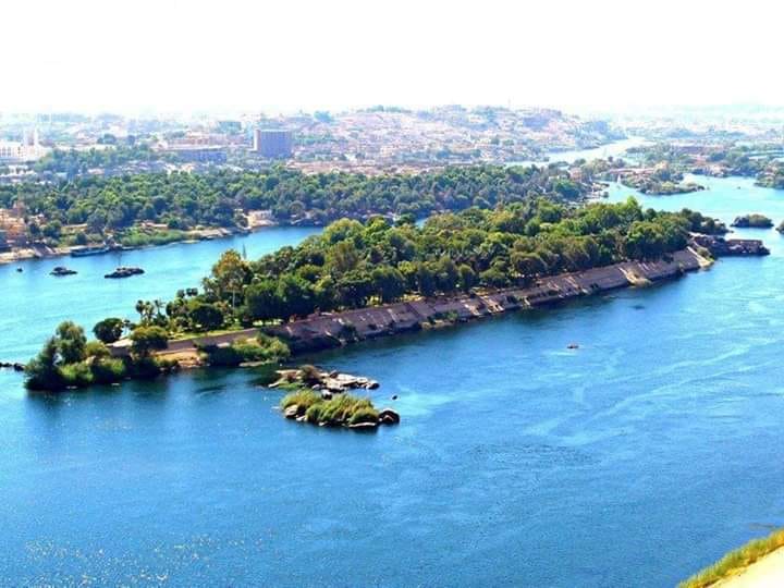 جزيرة النباتات