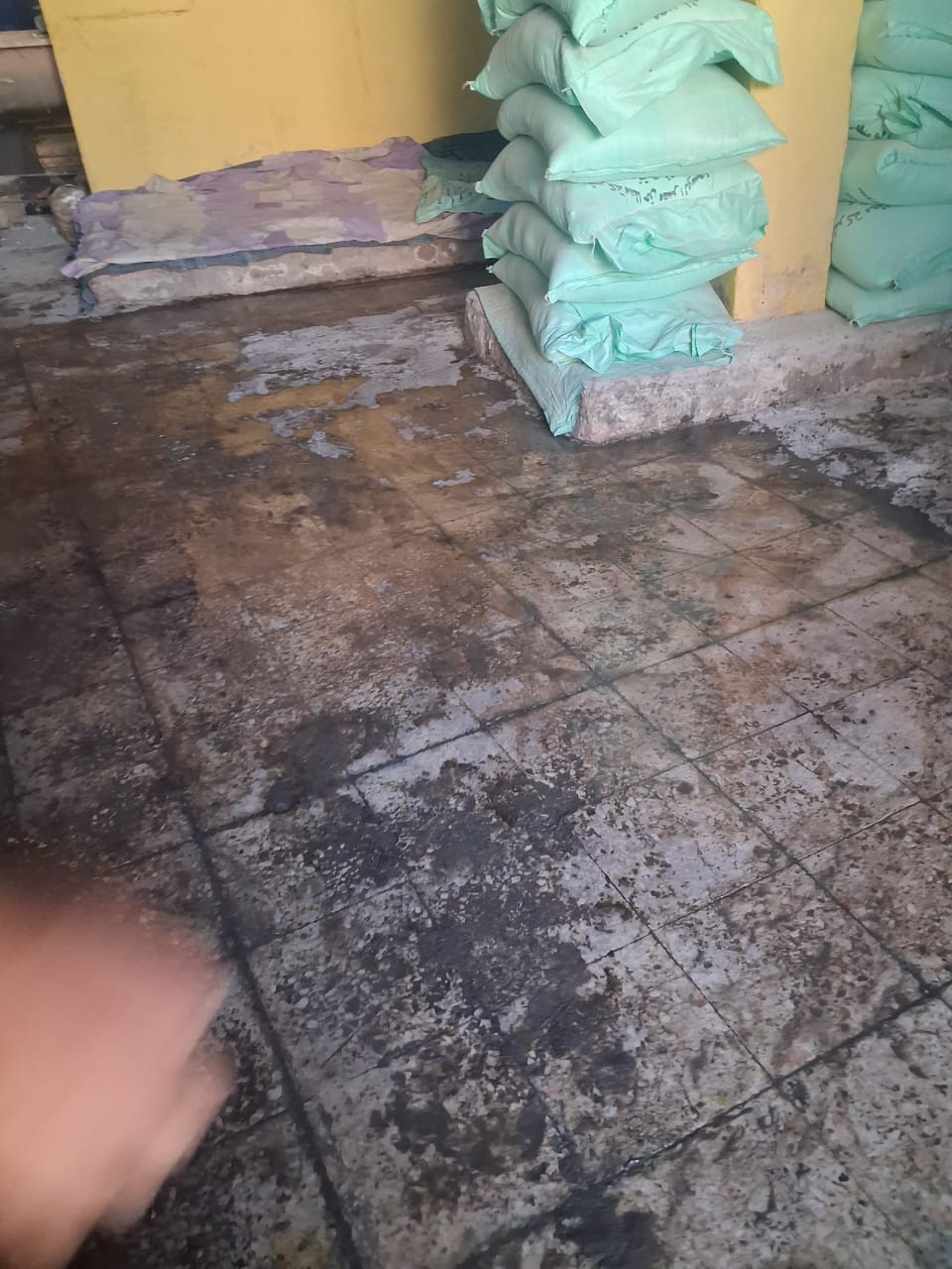 تضرر الدقيق
