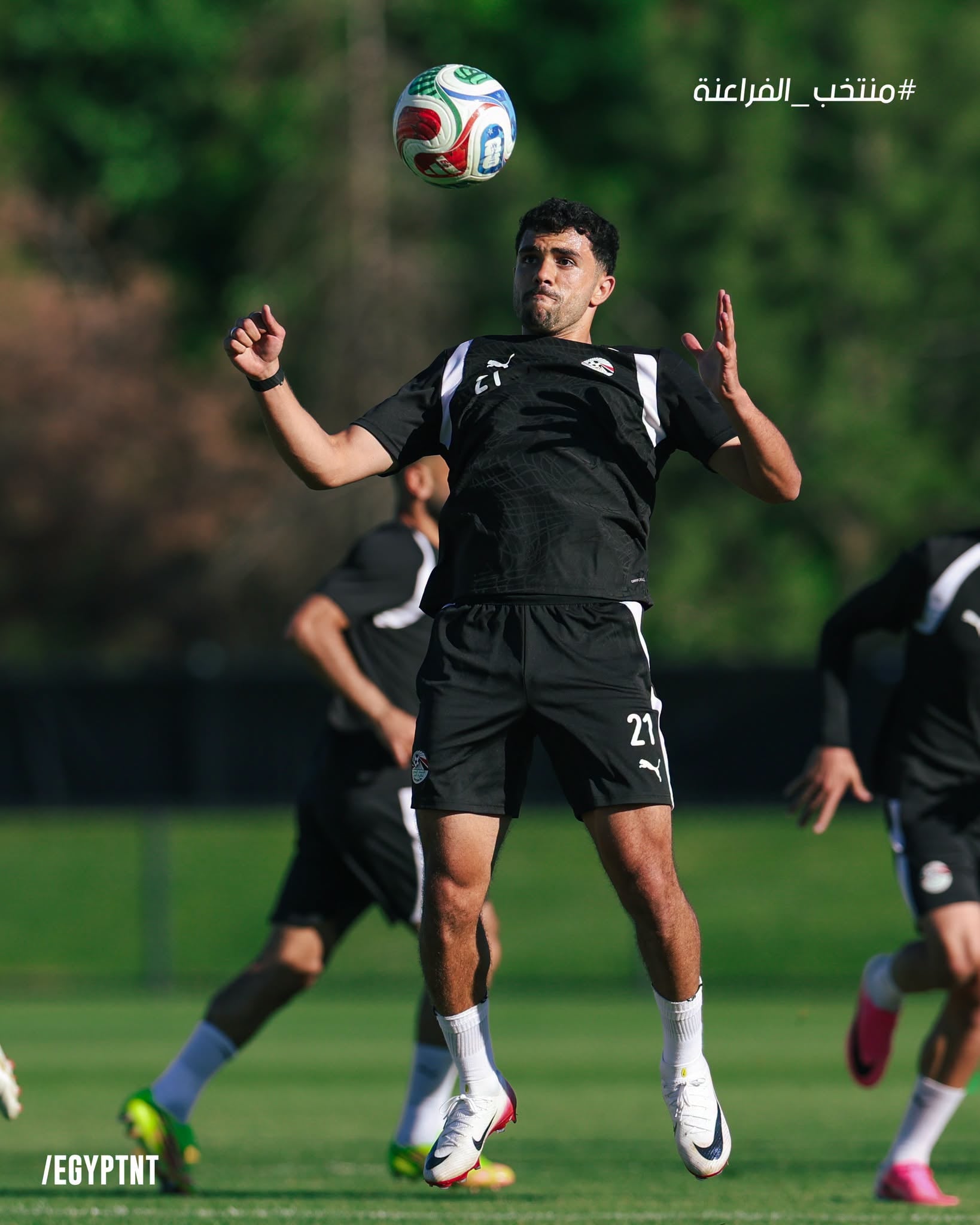 محمود صابر