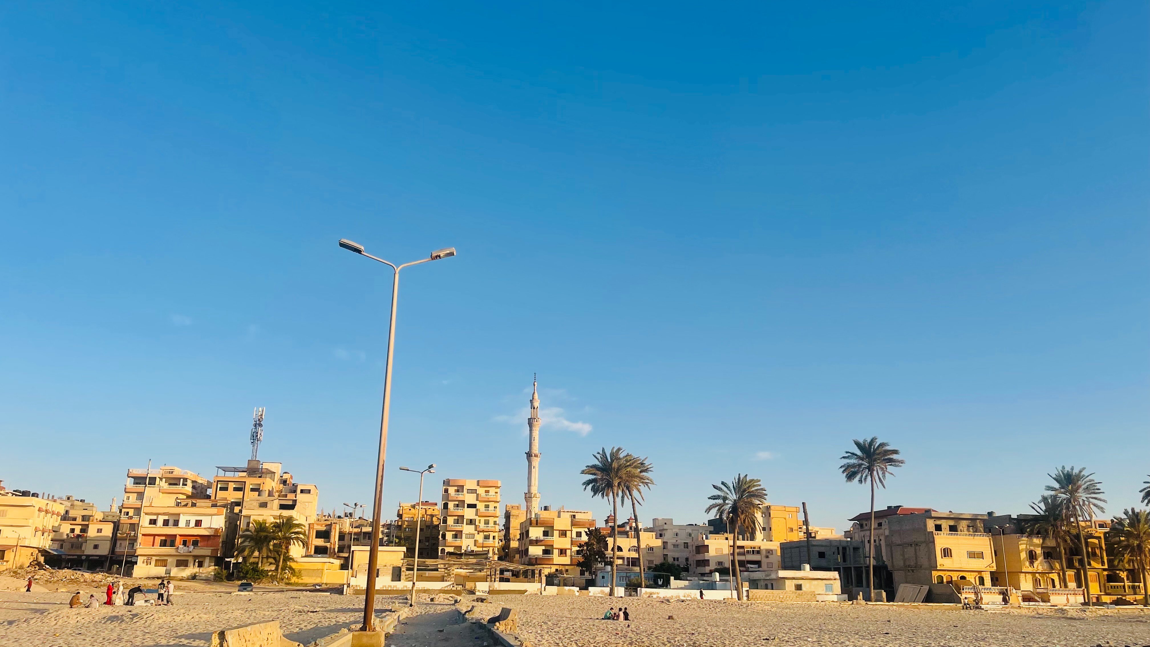 النخيل علي شواطيء الايوبي 