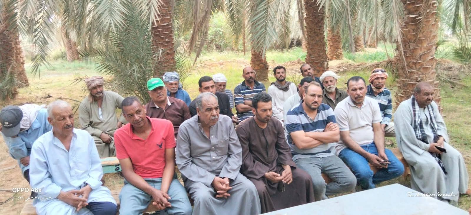 جهود مكثفة استعدادا لموسم النخيل
