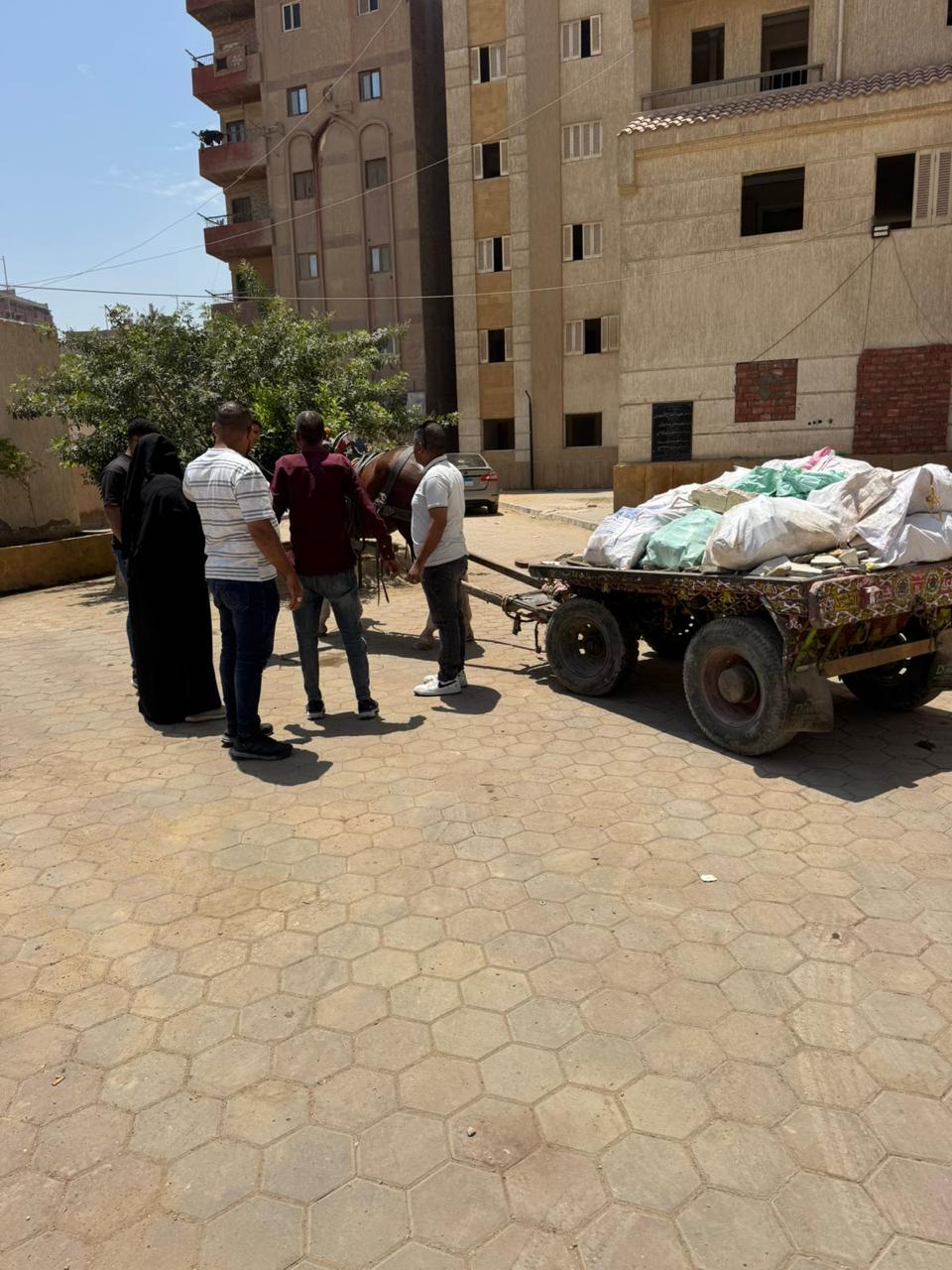 محافظة الجيزة تواجه ظاهرة  الفريزة بالهرم وفيصل (2)