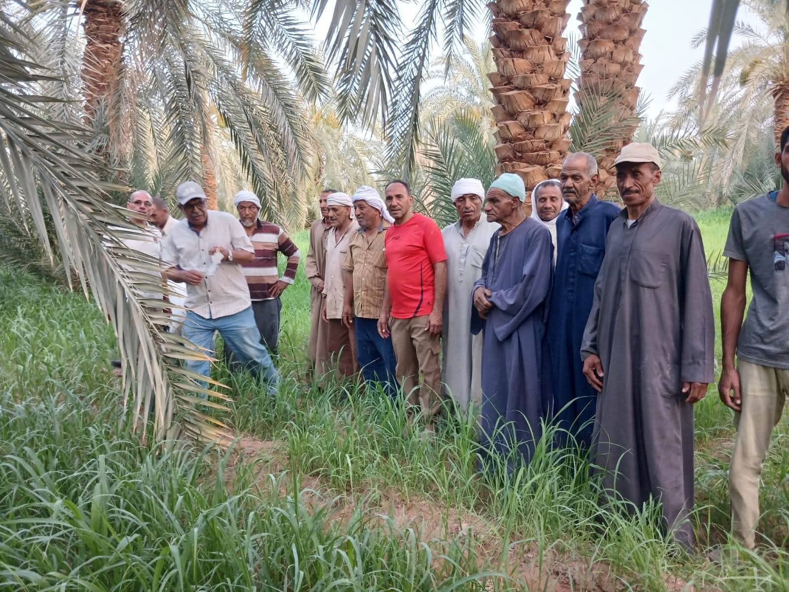 جانب من الندوات الحقلية الإرشادية