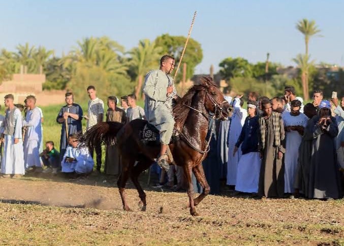 مولد قرية أسمنت