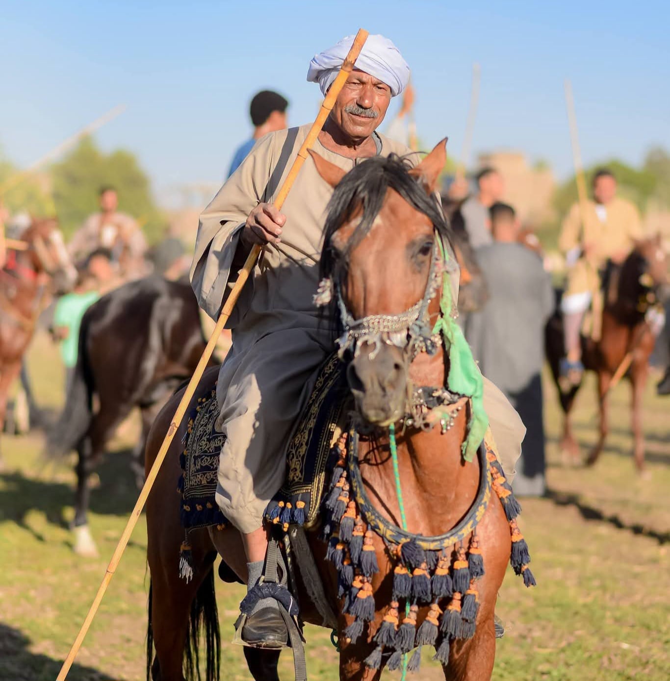 أحد الخيالة في المولد