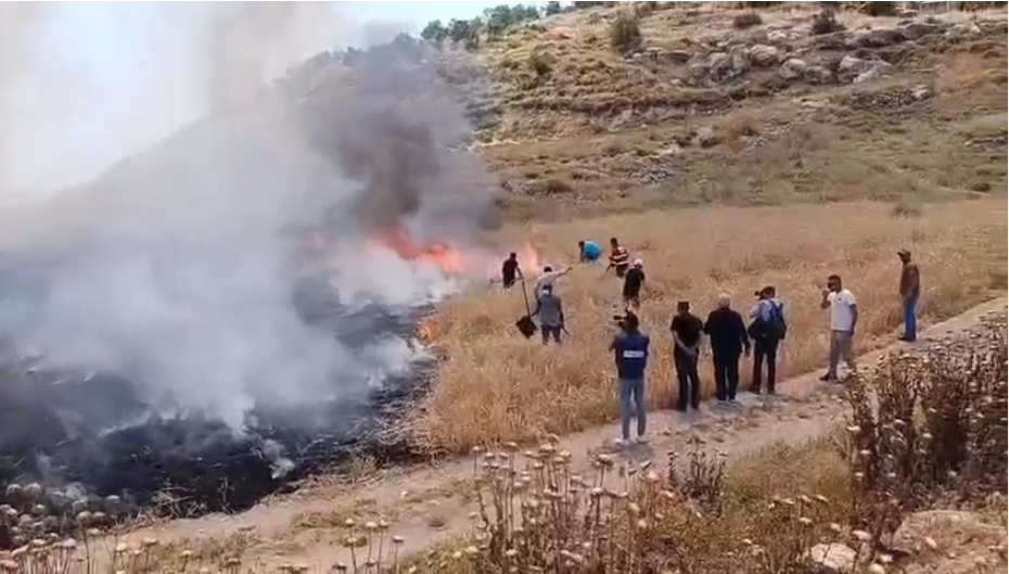 المتسطونون يحرقون المزرعة