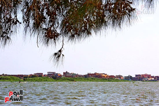 جزيرة الشخلوبة (1)