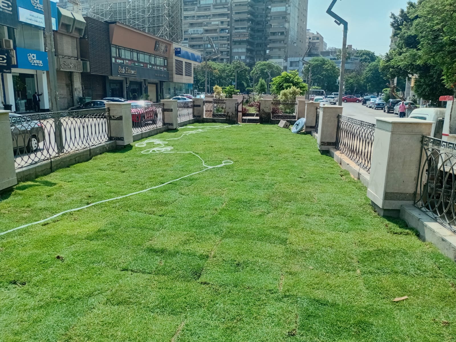 تجميل شوارع العجوزة (3)
