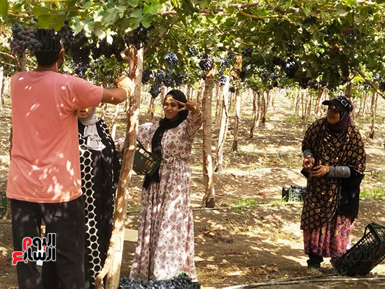 الفرحة-على-الوجوه
