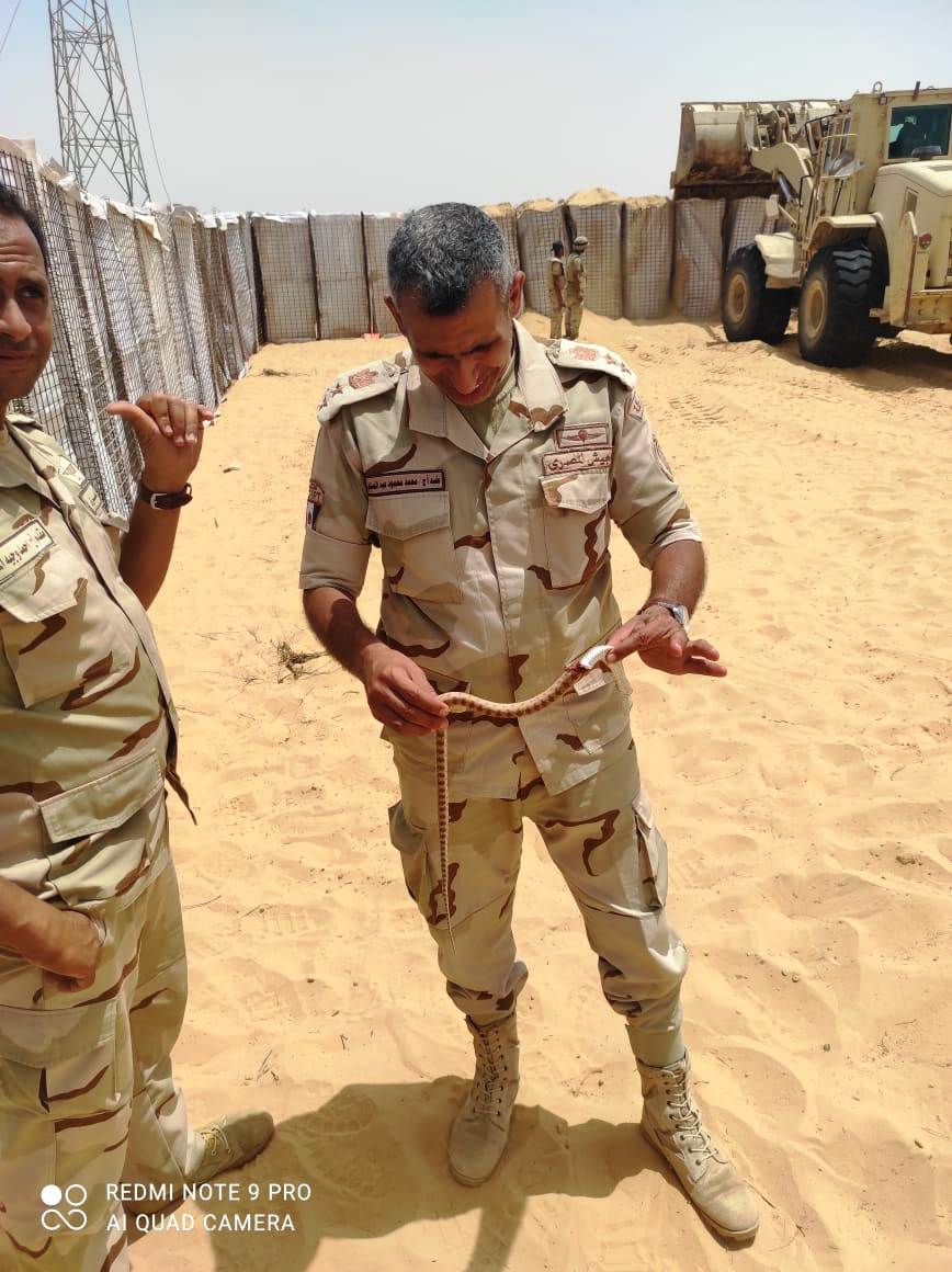الشهيد محمد عبد المتجلى (5)
