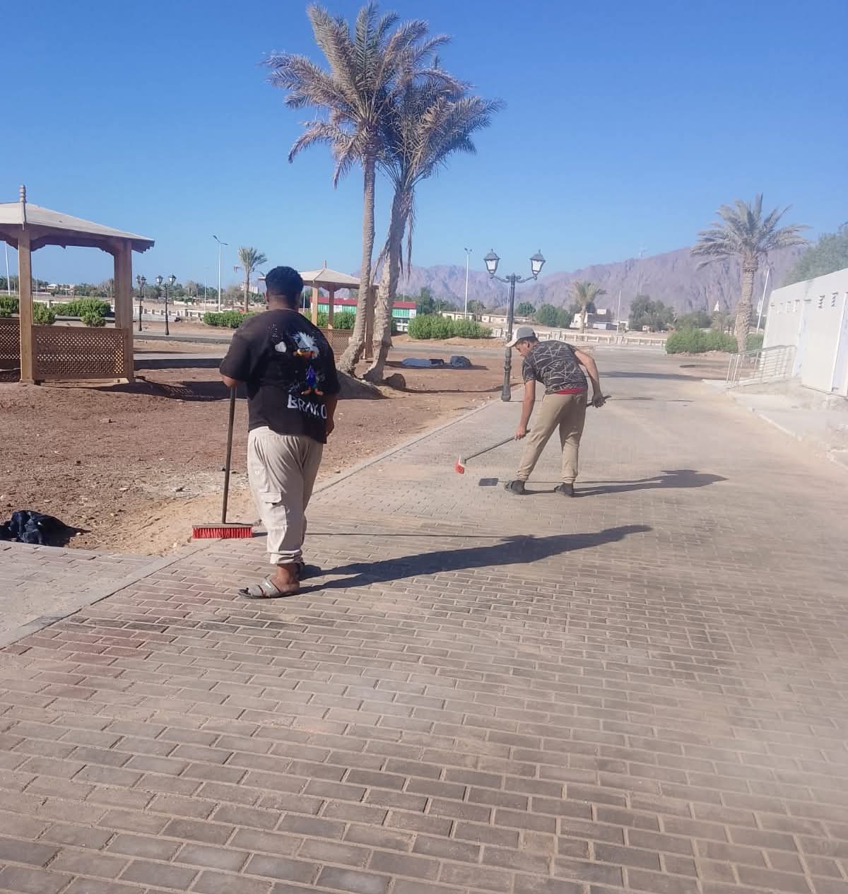 حملات لتنظيف شاطئ نوبيع