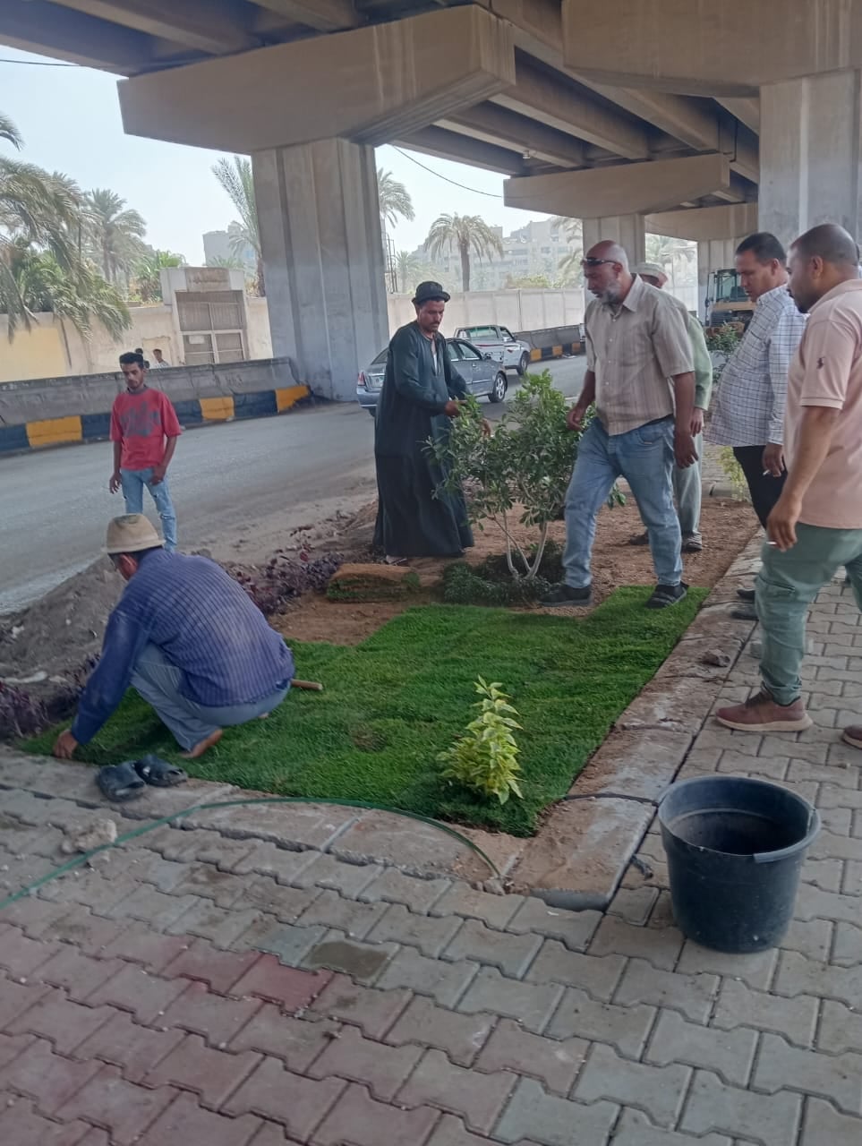 زراعة أحواض الزهور زراعة أحواض الزهور