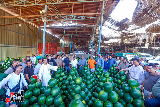 كثرة البطيخ بسوق الساحل كثرة البطيخ بسوق الساحل