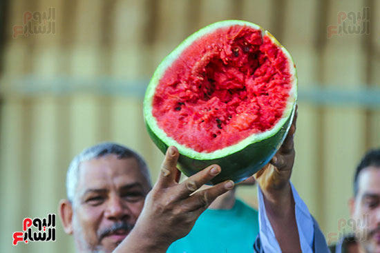 حلاوة البطيخ بسوق الساحل حلاوة البطيخ بسوق الساحل