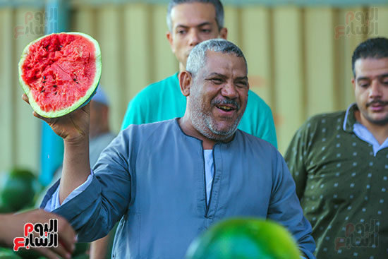 عرض البطيخ الالبشو عرض البطيخ الالبشو