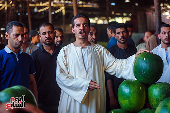 المزاد على البطيخ المزاد على البطيخ